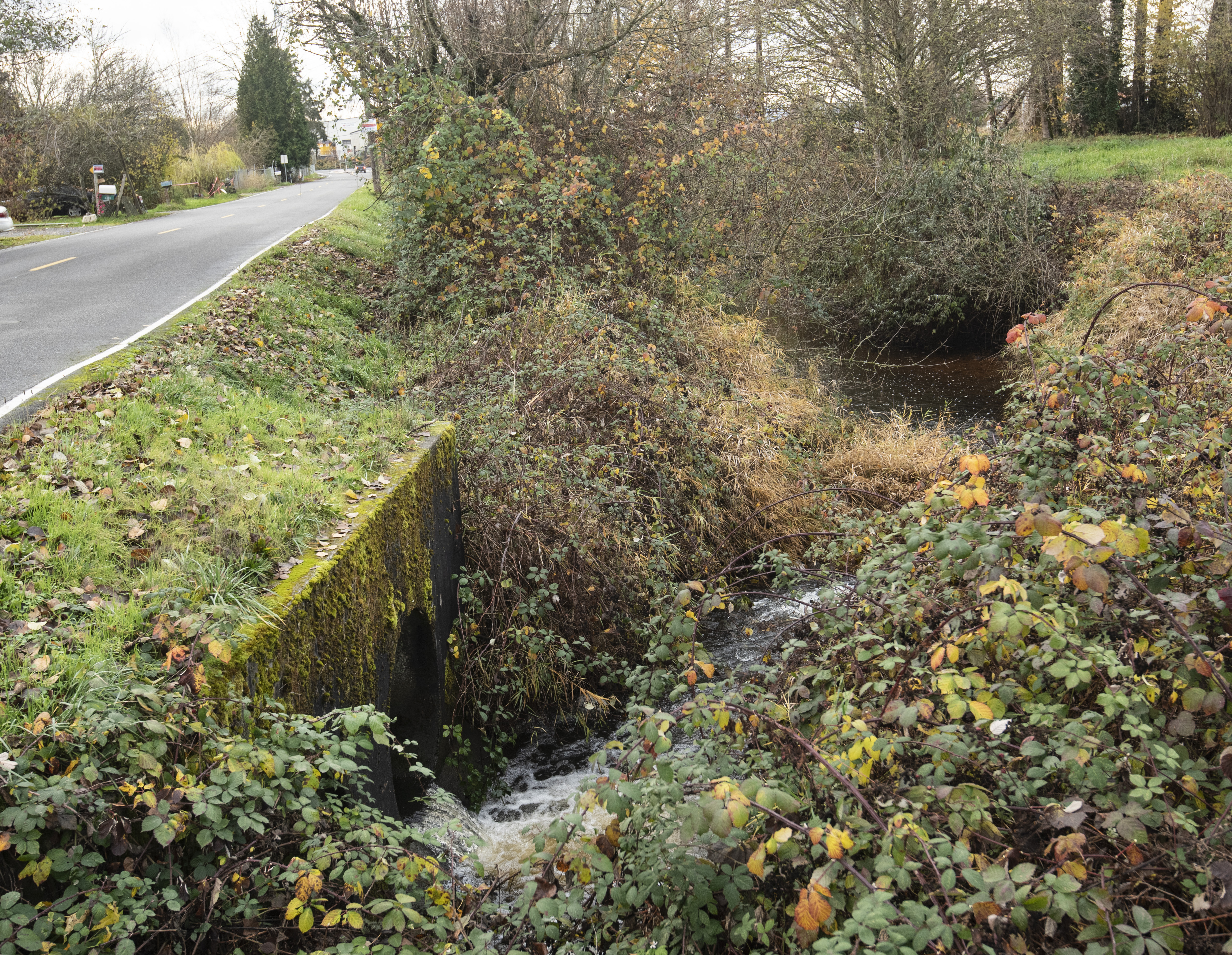 photo of a culvert by a road