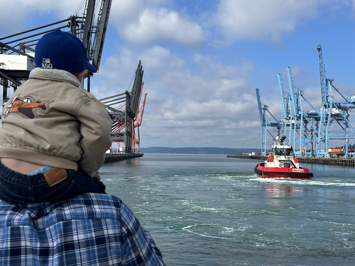 A small boy sits on the shoulders of a caregiver while looking at a tug boat in a waterway. 