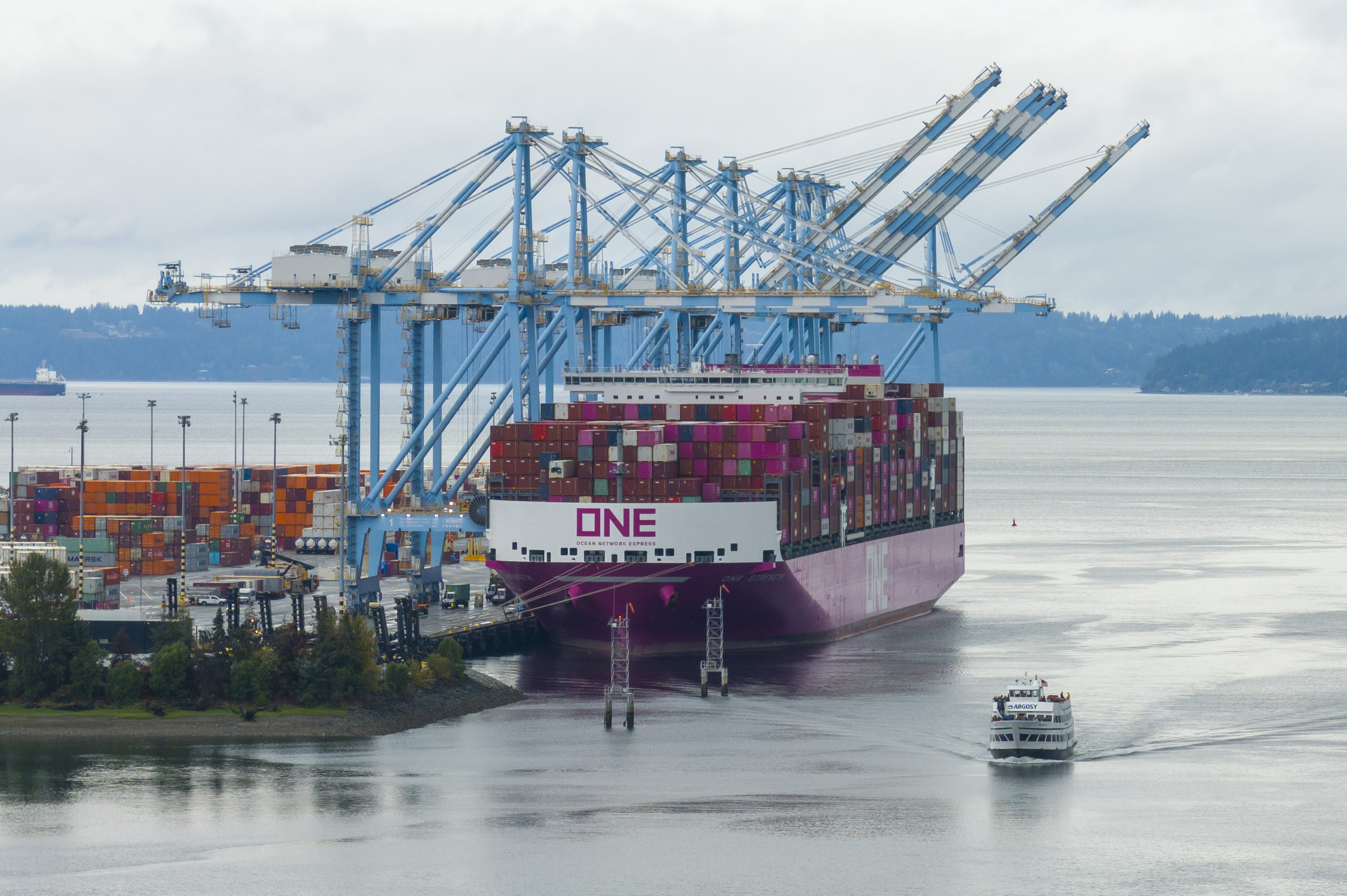 A small cruise ship goes by a massive container ship being unloaded at a terminal on a rainy day.